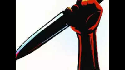Rajasthan: Man kills two daughters, injures wife, self