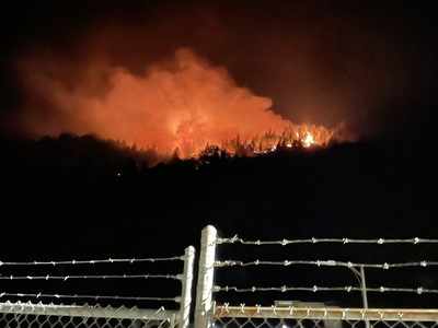 California: Dixie fire rages across 1,200 acres, evacuation warning issued
