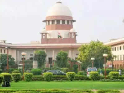 Courts shouldn’t step into executive’s domain: Supreme Court