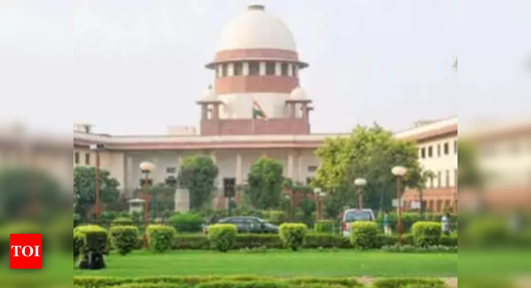 Courts shouldn’t step into executive’s domain: SC