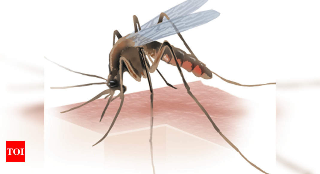 South Mumbai wards see a spurt in malaria cases