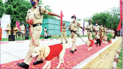 Jaipur airport’s first dog squad retires after serving for a decade