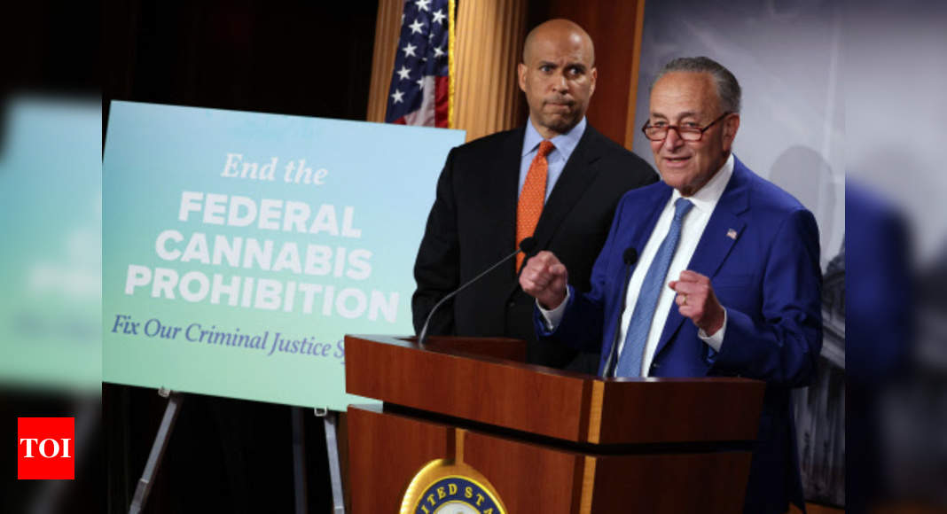 Senate leader Chuck Schumer lends clout to marijuana legalization push