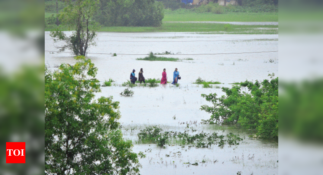 Day 3: Heavy rain brings down trees, power lines in Goa