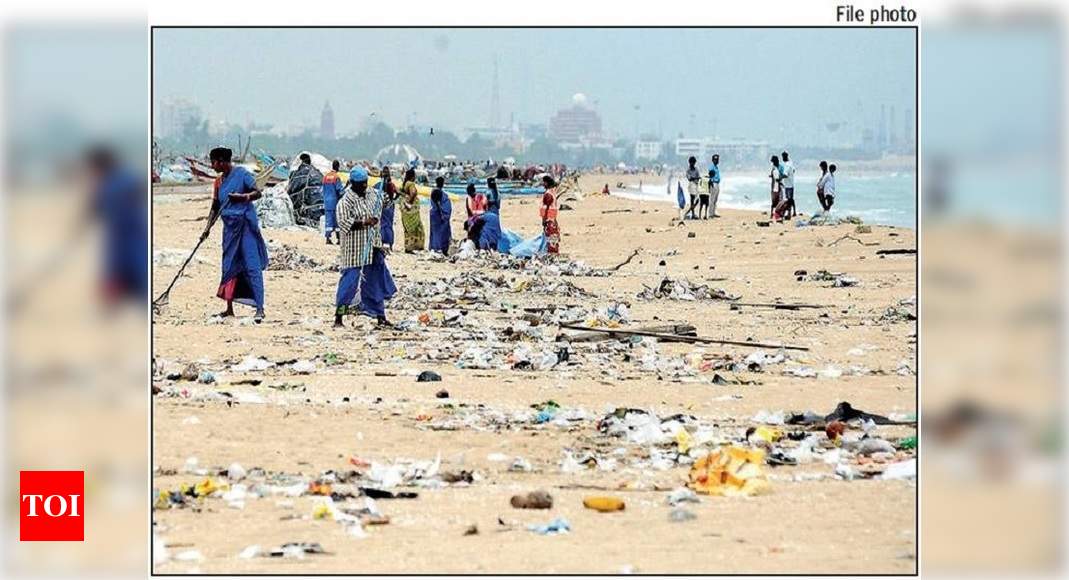 Have a special team to keep Marina clean, says Madras HC