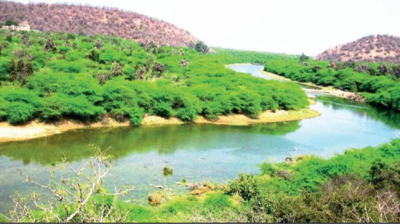 Rajasthan: Nature promotion and job creation part of eco-tourism policy