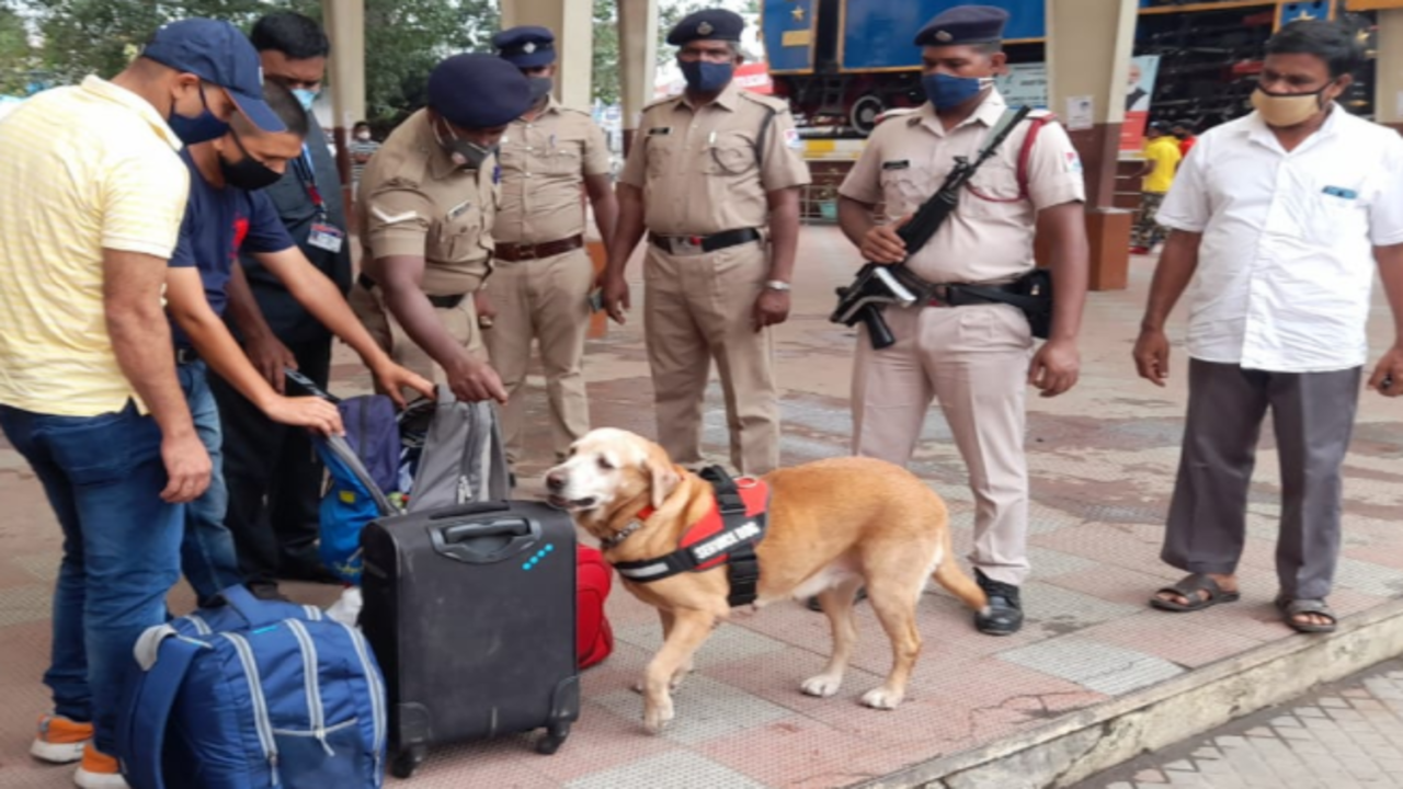 Hoax bomb call triggers searches at Coimbatore Junction Railway Station | Coimbatore News - Times of India