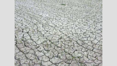 In absence of rainfall, drought-like situation prevails in Uttarakhand’s Terai region