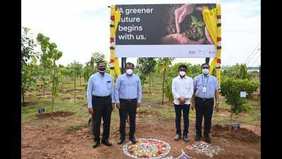 Hyundai Motor India Foundation takes up maintenance of Greenery Belt near Chennai