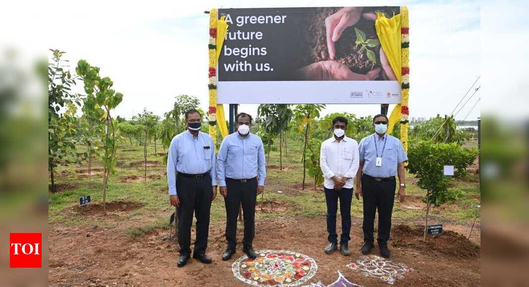 Hyundai Motor India Foundation takes up maintenance of Greenery Belt