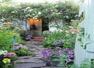 Guide to start a small garden from scratch