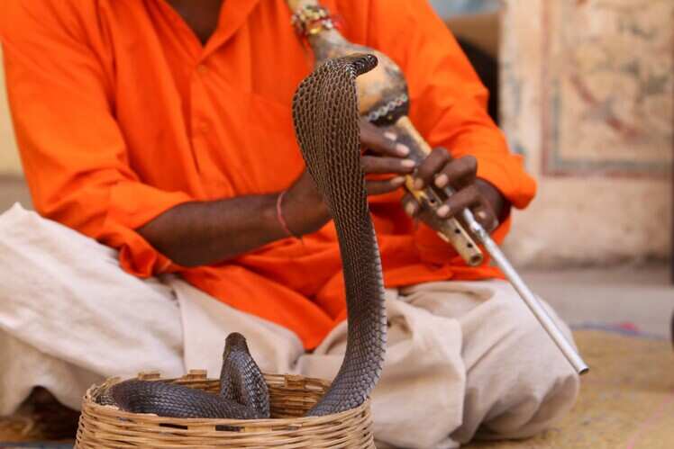 Nag Panchami