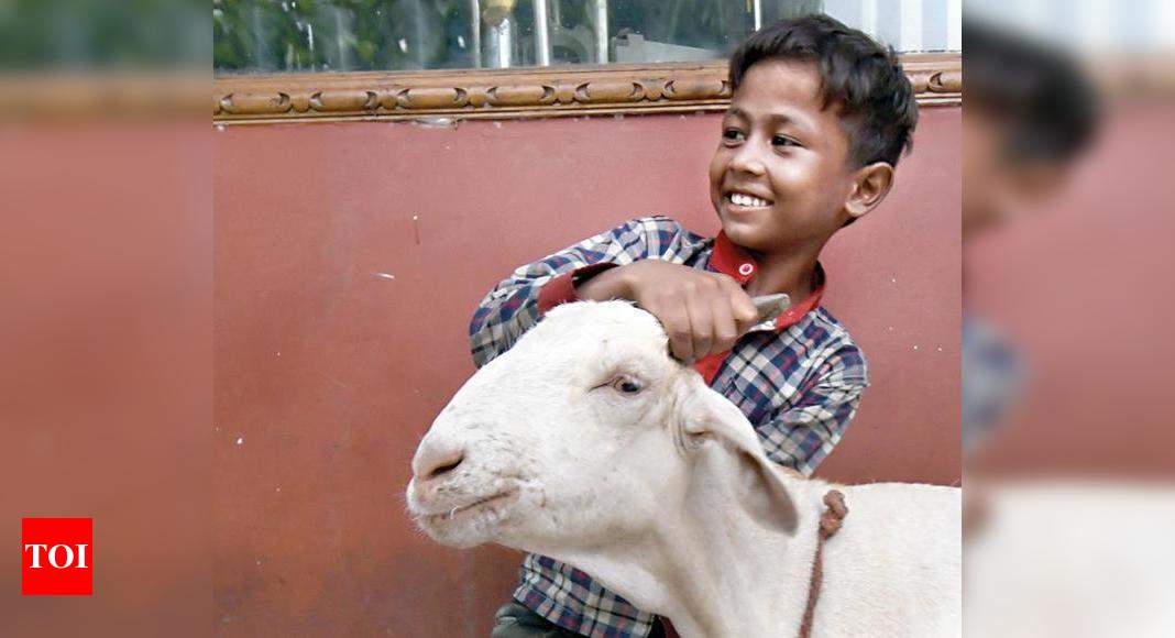 Eid’s Covid story: Few goats for sale, buyers fewer