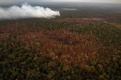 Brazilian states seek international funding to fight deforestation