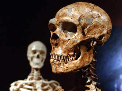 Just 7% of our DNA is unique to modern humans, study shows