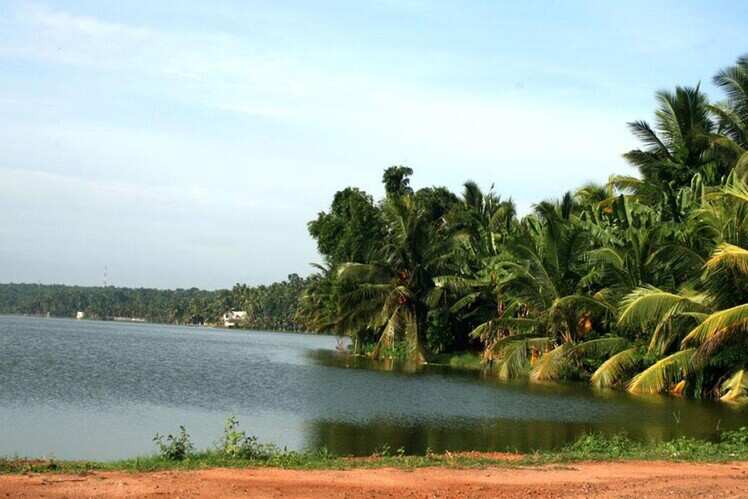 Vellayani Lake