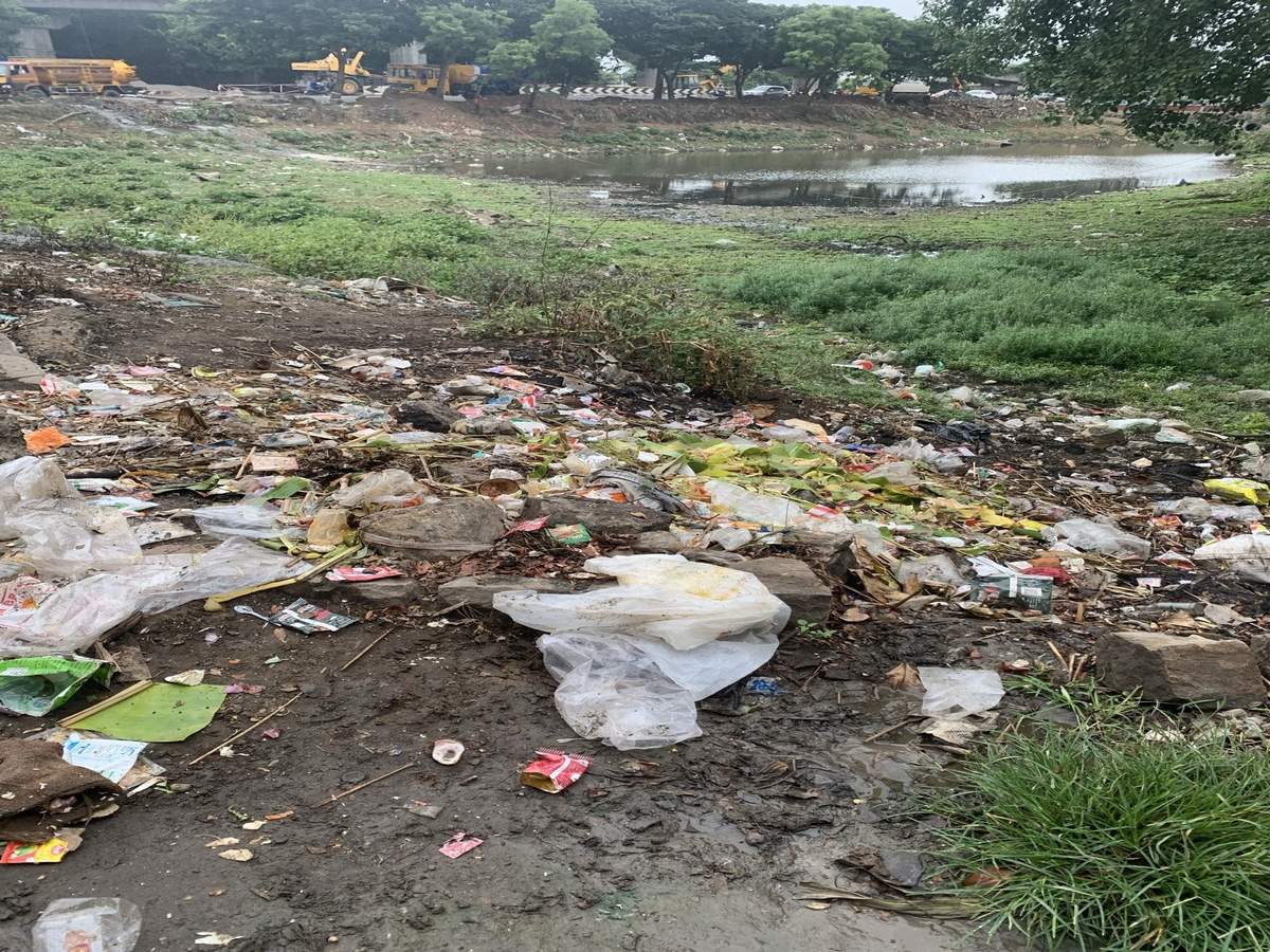 Garbage in Smart City Pond - Times of India