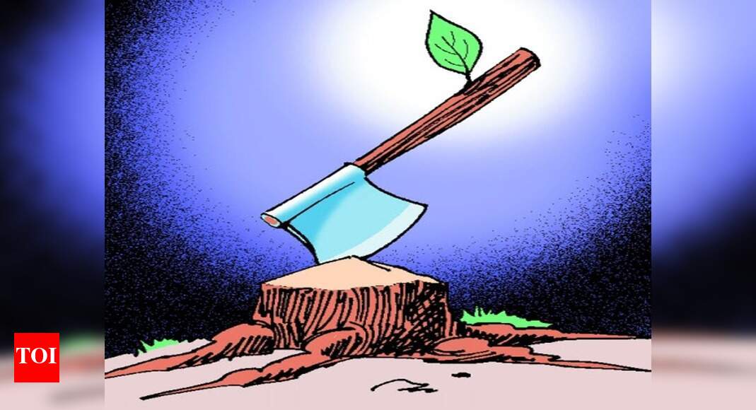 Muttil tree felling scam in Wayanad: Forest conservator faces suspension