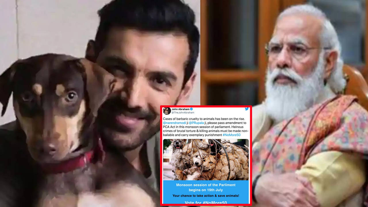 John Abraham requests PM Narendra Modi to amend PCA Act, writes 'Heinous  crimes of brutal torture & killing animals must be made non-bailable' |  Hindi Movie News - Bollywood - Times of India