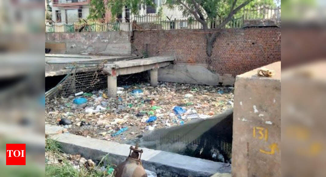 Noida Arun Vihar residents write to environment ministry over open