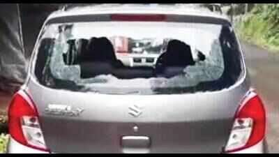 Goa: Actor’s car vandalised after posting anti-govt video