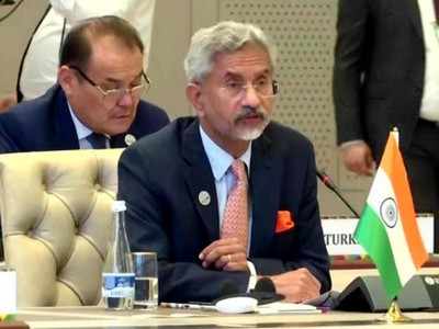 Pakistan Is On Fatf Grey List Due To Pm Modi Government Eam India News Times Of India