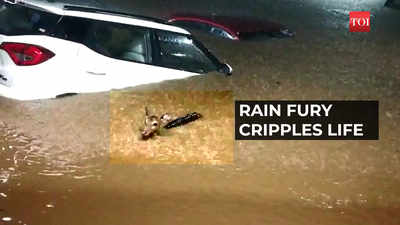 Mumbai rains: 33 killed; air, rail, road traffic crippled