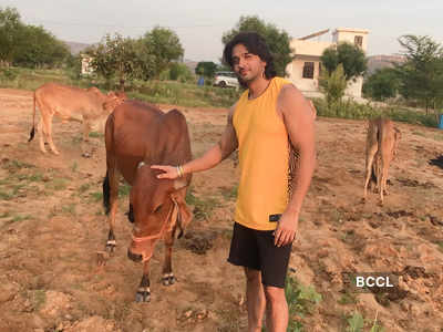 EXCLUSIVE! Decided to get back to my roots and become a farmer amid the pandemic, says Ashish Sharma
