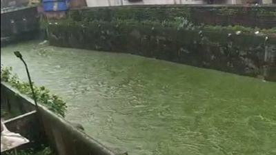 Dombivli: Nullah water turns green, locals suspect release of chemicals from industries
