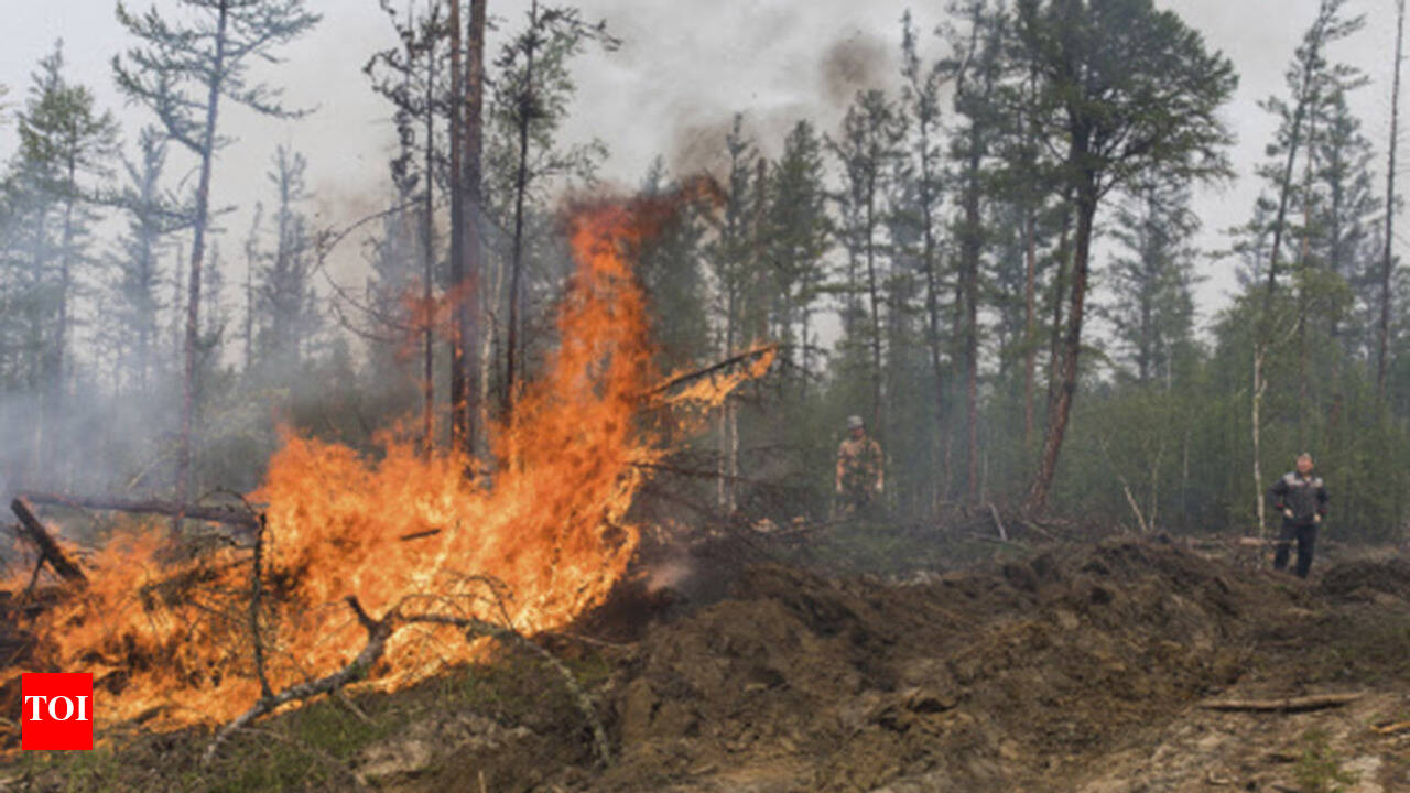 Wildfires in Russia's Siberia could endanger a power plant