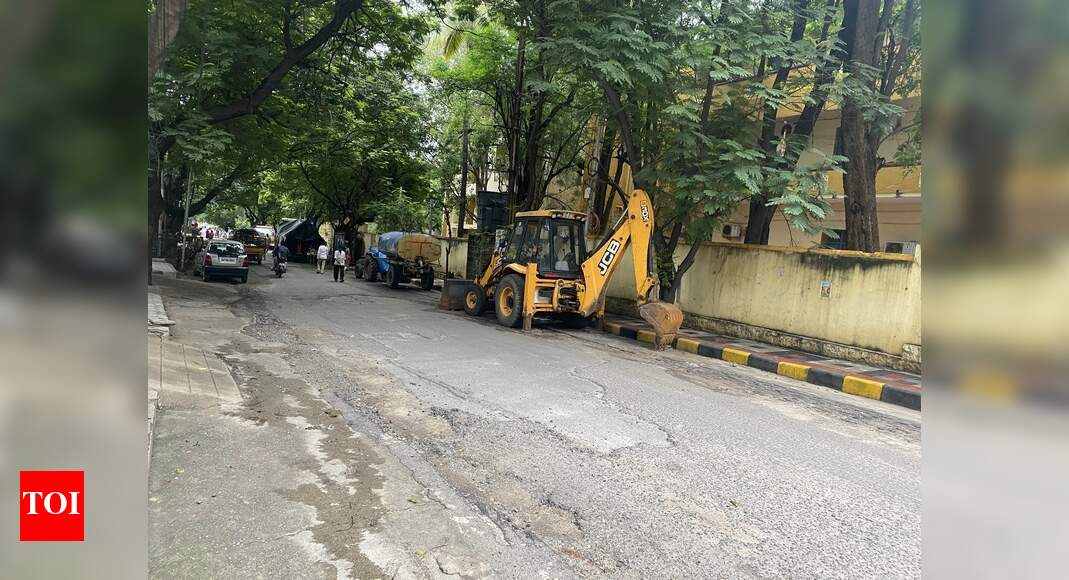 Road dug up for New Laying Times of India