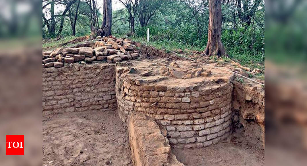 70 years on, Hastinapur excavations looking for 'Mahabharata' link