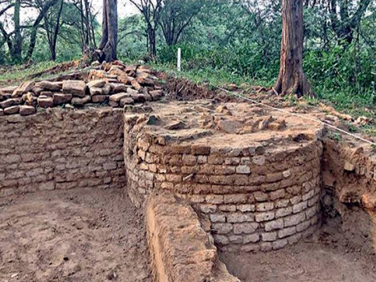 Uttar Pradesh: 70 years on, Hastinapur excavations looking for ...