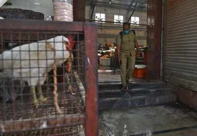 India’s first bird flu death reported at AIIMS-Delhi