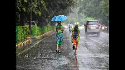 Parts of Delhi receive light rains, small dry patch over weekend: IMD