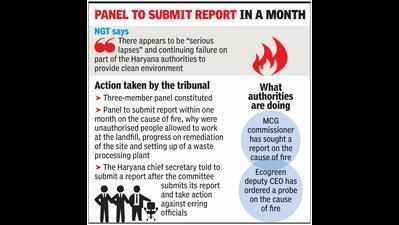 Bandhwari landfill fire: Serious lapses by Haryana government, says NGT