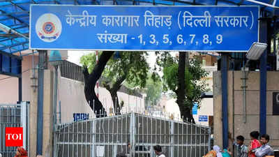 Delhi HC orders CBI probe into Tihar inmate’s murder, needle of suspicion on jail staff