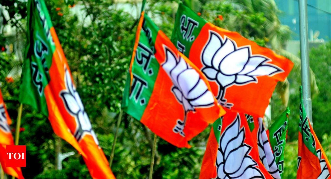 BJP slams opposition over Pegasus issue, says attempt at spreading lies |  India News - Times of India