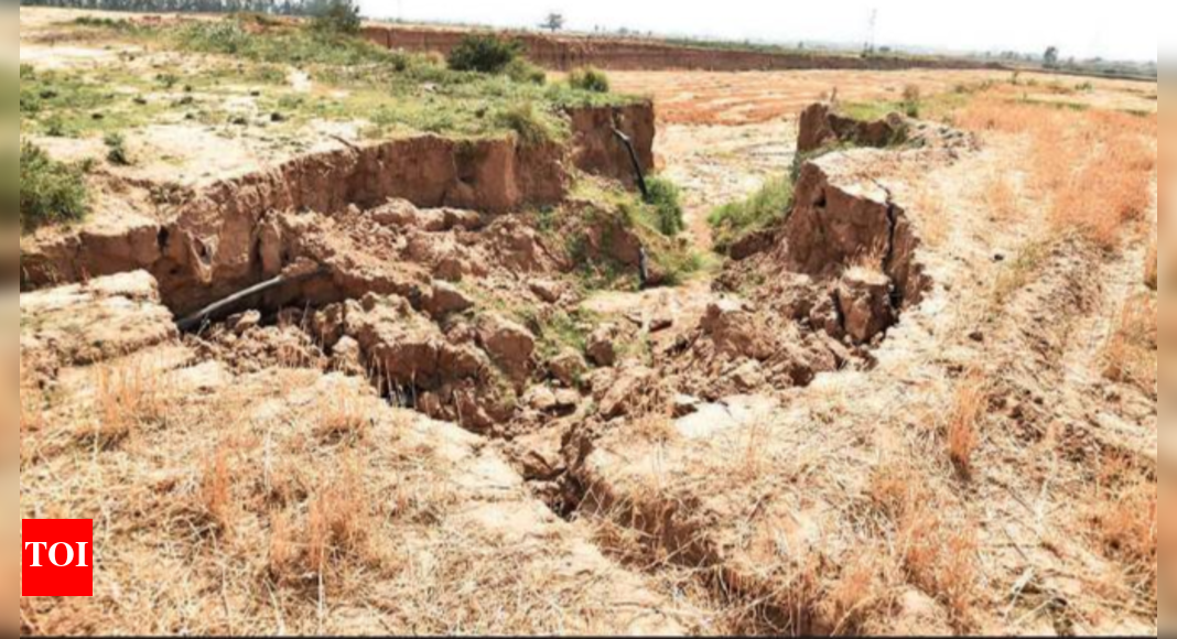 Haryana: Panchkula admninistration fails to clamp down on illegal ...