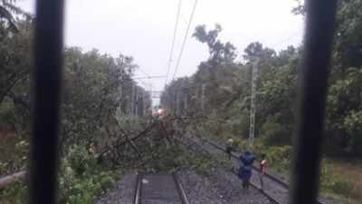 Maharashtra rains: Traffic on Konkan Railway route disrupted after river overflows in Ratnagiri