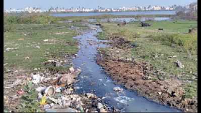 Chennai: Residents who let sewage into stormwater drains leading to Sembakkam lake fined