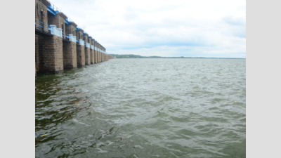 Hyderabad incessant rain: Himayatsagar reservoir’s two more floodgates lifted