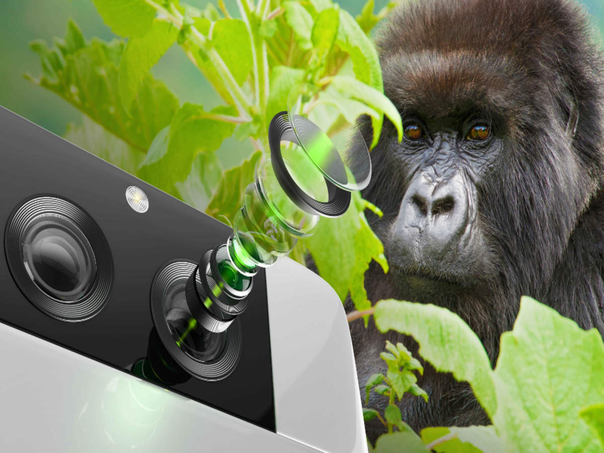 Corning gorilla 5. Горилла Гласс. Стеклянная горилла. Gorilla Glass 5. Защитное стекло Gorilla Glass.