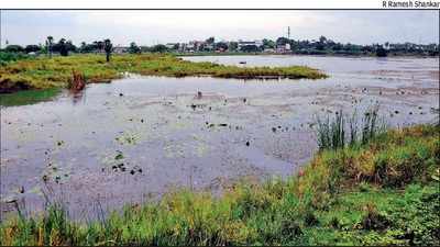 Tamil Nadu: Southern fringe of Otteri lake is taken over by squatters