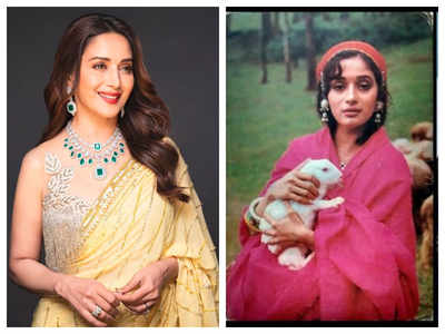 Did you know Madhuri Dixit was once bitten by a rabbit while was shooting for Rishi Kapoor, Sanjay Dutt starrer 'Sahibaan'?