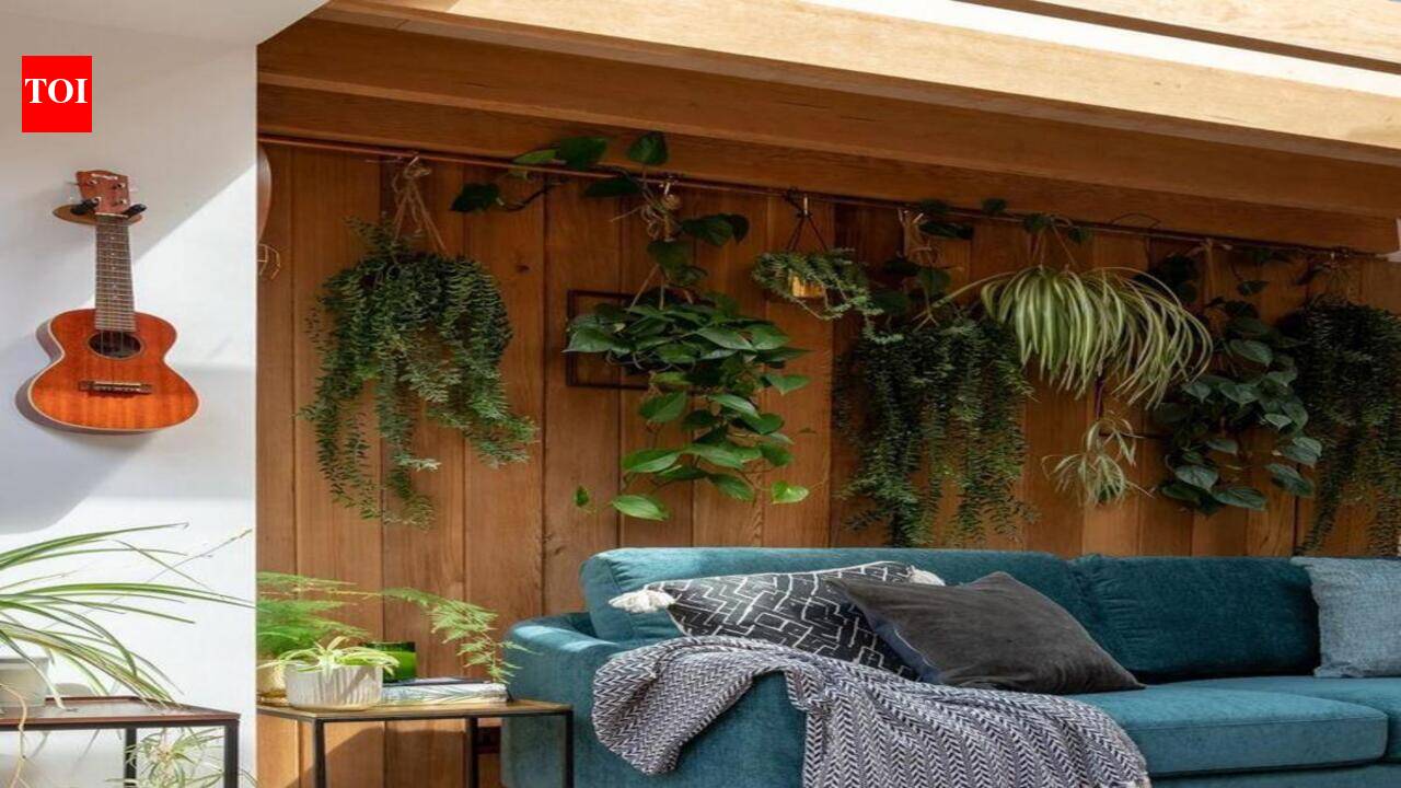 Know all about Biophilic Design Trends