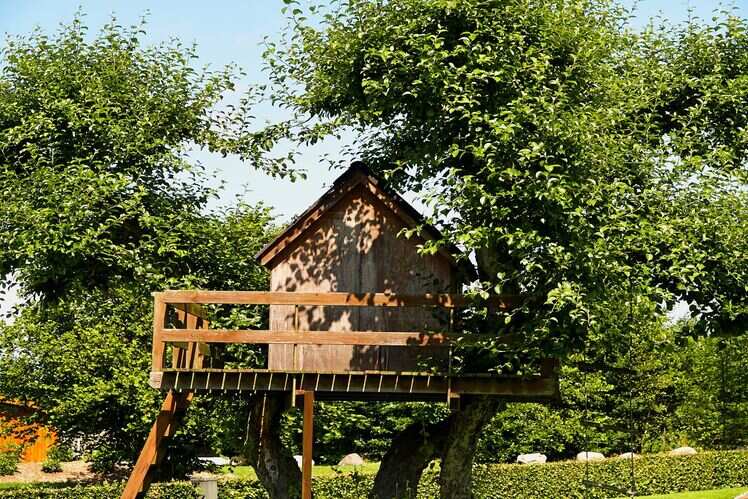 Treehouse Hideaway, Madhya Pradesh