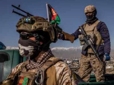 Al-Qaida present in at least 15 Afghan provinces: report