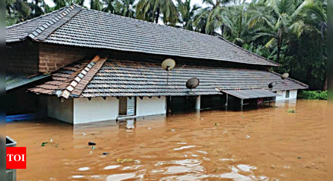 Worst flood in 40 years destroys rural Goa, woman feared dead