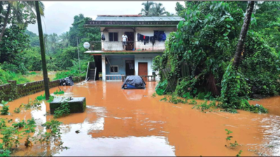 Goa: Deforestation intensified floods in Bicholim, Sattari, say experts